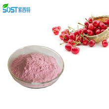 Reliable Supplier Organic Acerola Cherry Vitamin C Powder